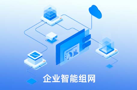 Optimizing Business Operations with Our SD-WAN Solutions