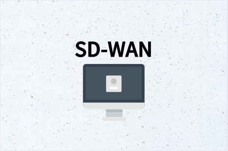 SD-WAN Building Enterprise Multi-Cloud Dedicated Networks
