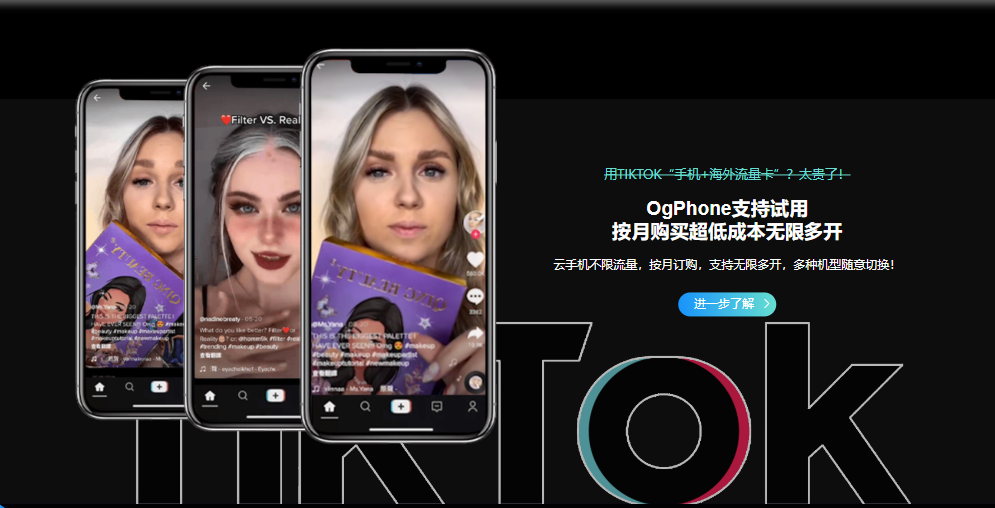 Ogphone的价格.png