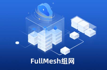 FullMesh networking.jpg