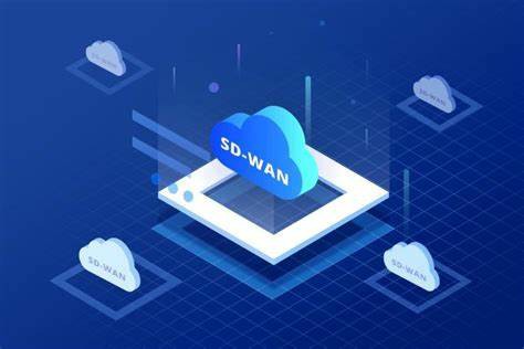 SDWAN网络加速的原理.jpg