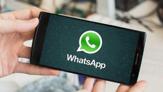 云手机降低WhatsApp封号风险.jpg