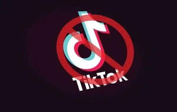 海外云手机解决Tik Tok多开封号问题.jpg