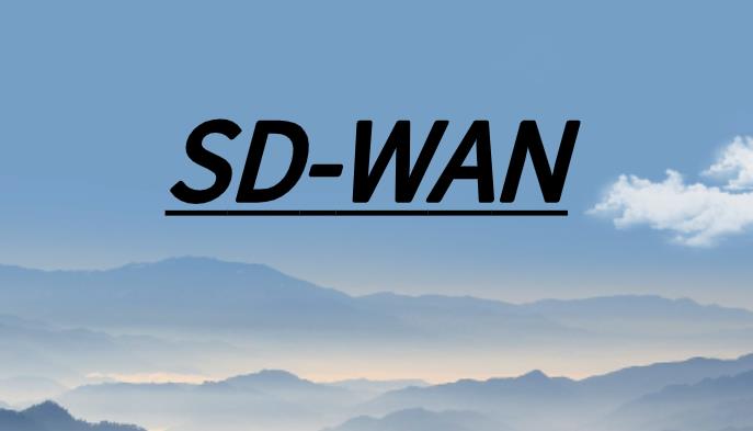 SDWAN组网方式.jpg