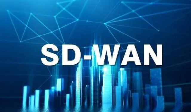 What Are the Types of International SDWAN Suppliers and How to Choose One.jpg