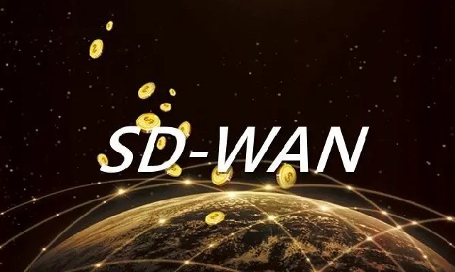 SDWAN的固定IP.jpg