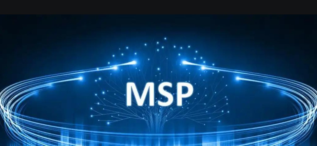 MSP.jpg