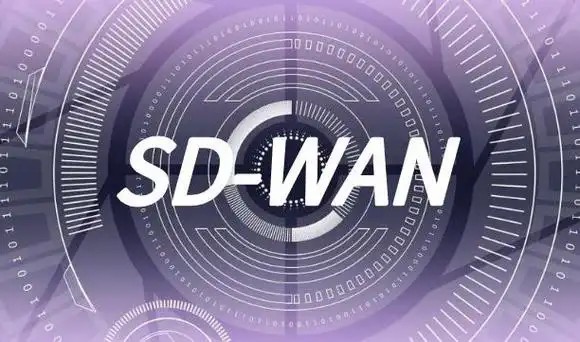 What Are the SDWAN Deployment Architectures.jpg
