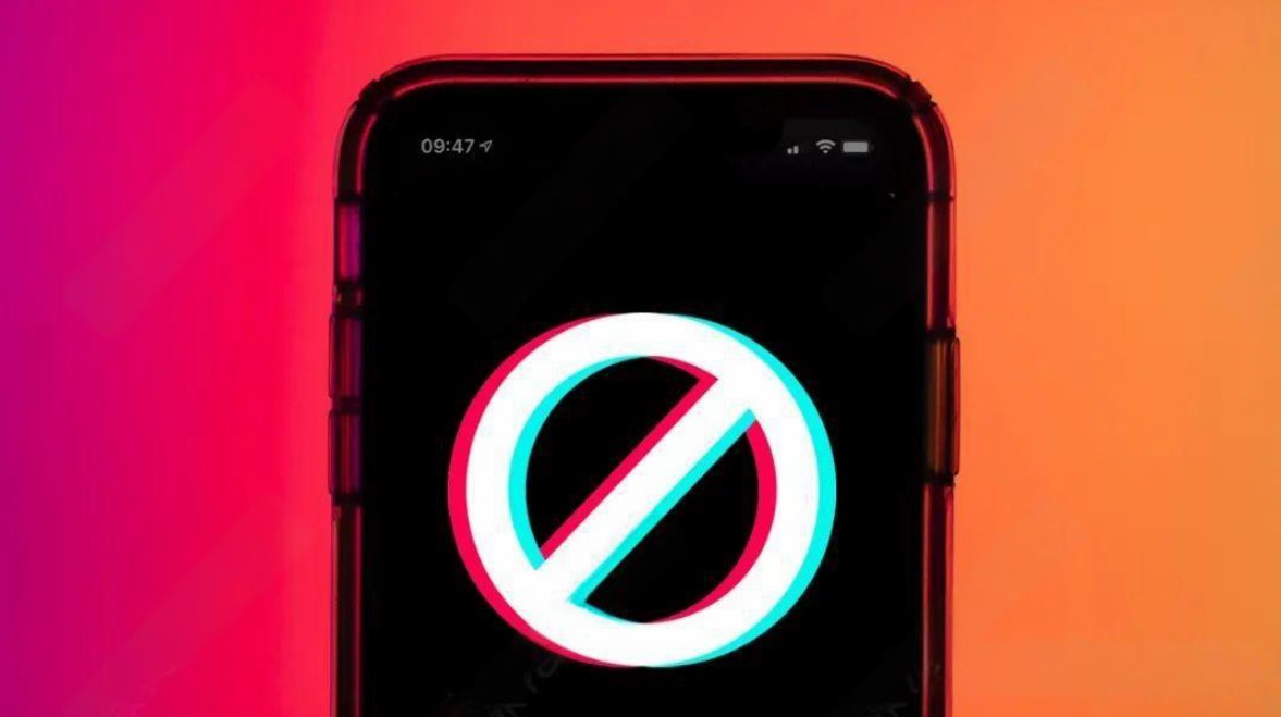 Reasons for TikTok Account Suspension and Solutions for IP Association Issues.jpg