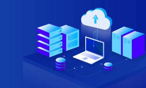 Choosing Between Overseas Cloud Servers and Traditional Servers.jpg